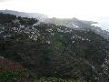 Zsebkendnyi teraszok Madeirn
